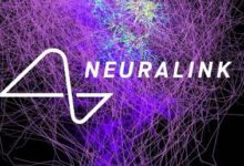 解码Neuralink：建立人脑与世界的高带宽连接