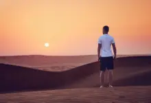 废掉一个人最隐蔽的方式：让他一直困在自己的算法里