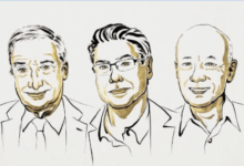 2025诺贝尔经济学奖，解释了为什么要“反内卷”