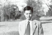 杨振宁与20世纪物理学