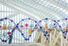 AI for Science，走到哪一步了？