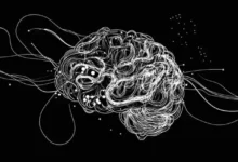 Dan Koe：99%的人都学不会专注术，这是天才的思考地图