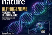 AlphaGenome：从蛋白质到DNA，DeepMind用AI重启人类基因组计划