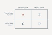 虚假相关性：很多看似相关的事情之间根本无关