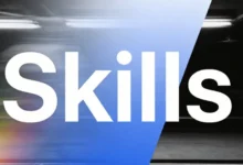 一文带你看懂，火爆全网的Skills到底是个啥