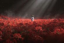 五个圈层，你在哪一层？